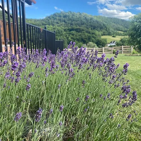 Vakantiehuis Kata Vendeghaz