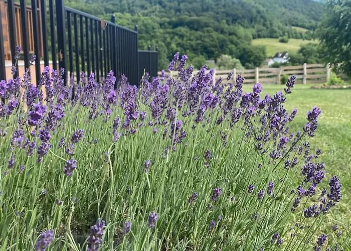 Vakantiehuis Kata Vendeghaz